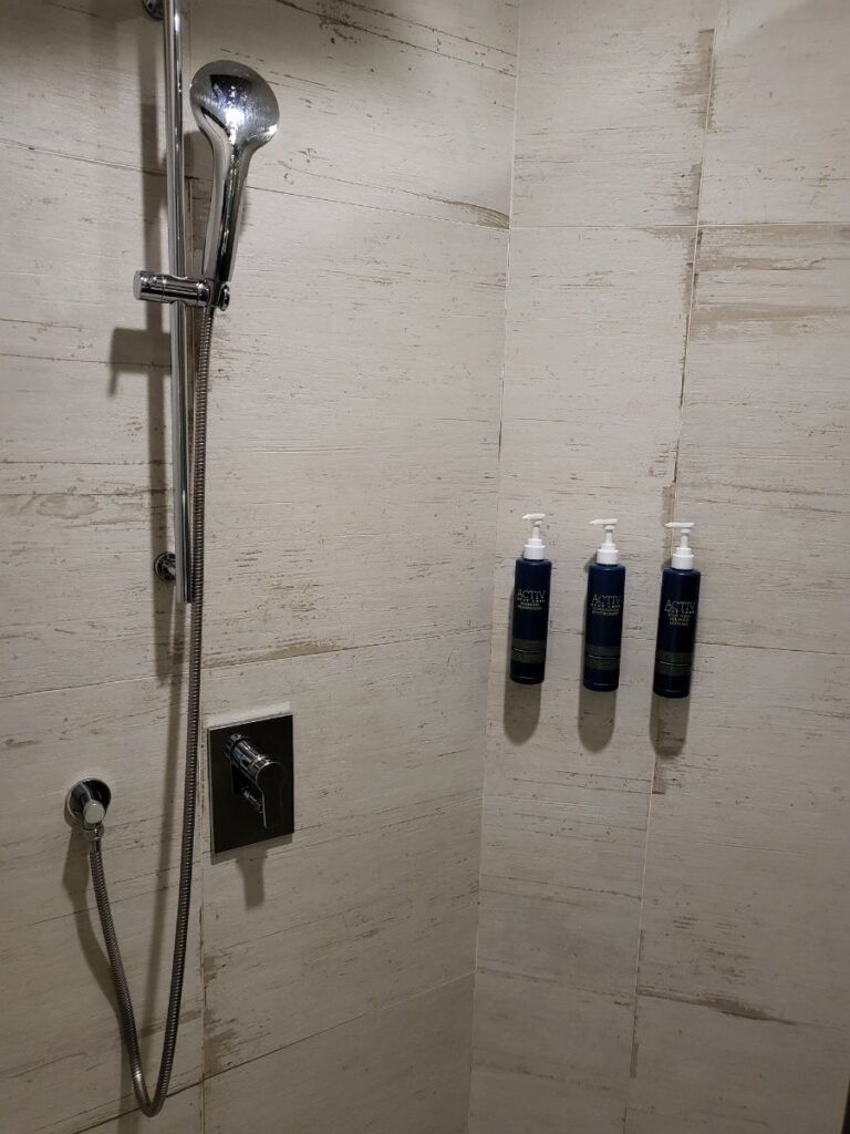 Compact shower at Four Points Seoul Gangnam