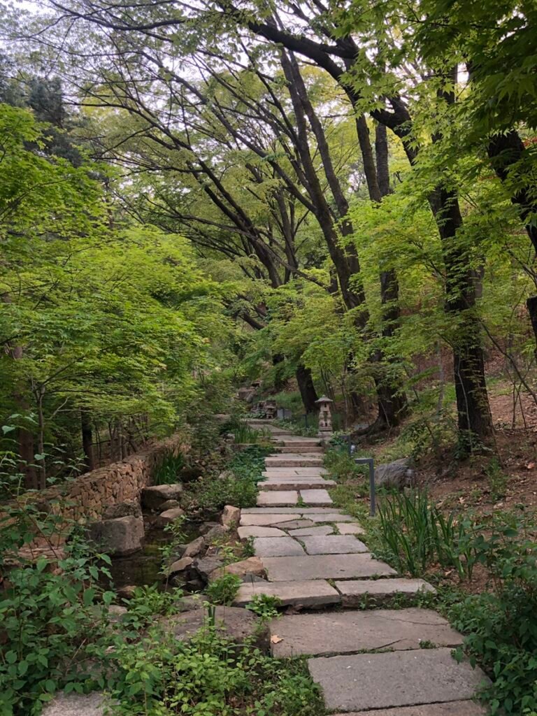 Forest walking path in the Walkerhill Seoul grounds